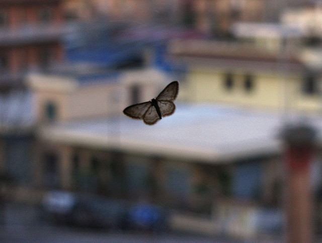 Miedo a volar