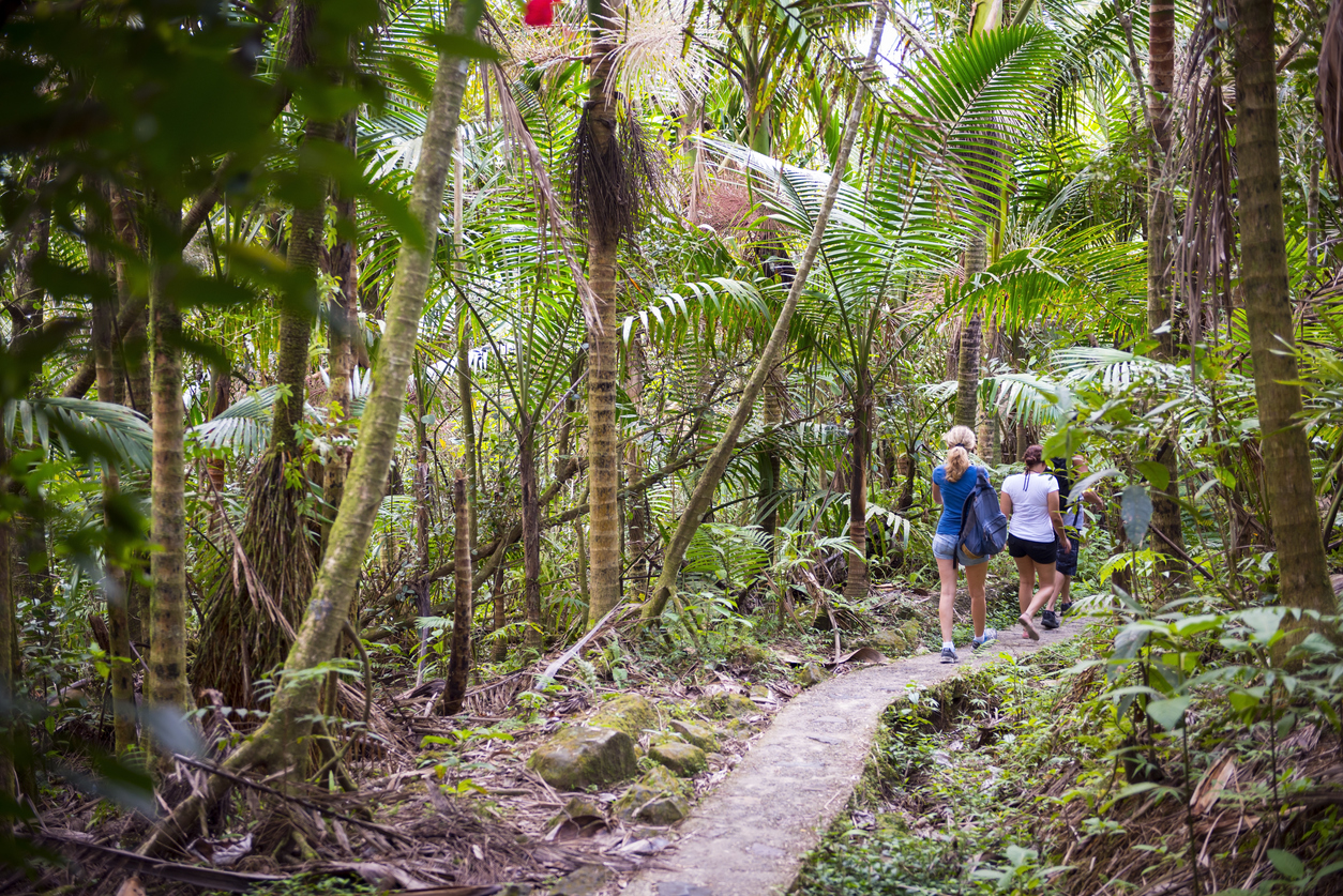 Senderismo-Turismo-Activo-El-Yunque-Puerto-Rico