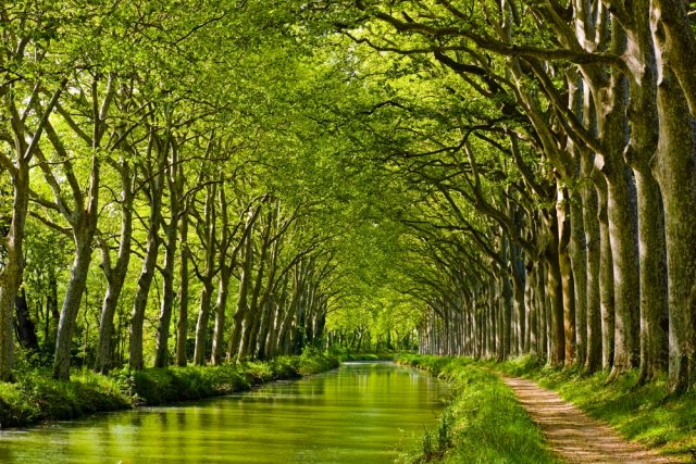 La Historia Del Canal Del Mediodia En Toulouse Me Gusta Volar