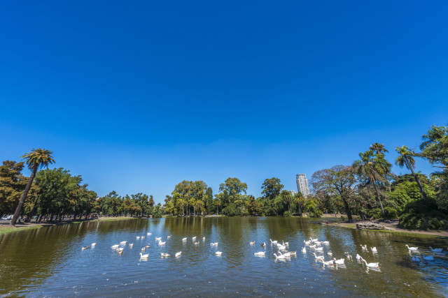 Argentina Buenos Aires parks gardens Bosque de Palermo Anibal Trejo shutterstock_160148195