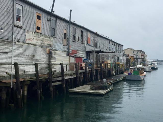 USA Maine New England Portland Harbor Fish Market - David Paul Appell