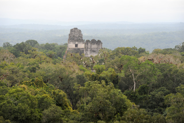 Tikal  Guatemala Stefano Ember shutterstock_225262825