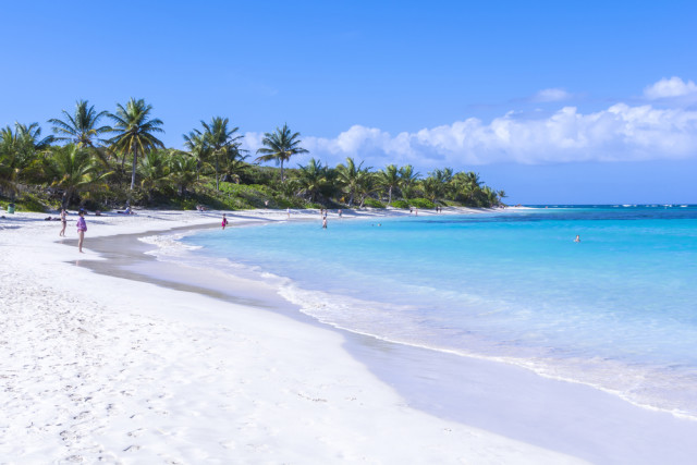 Puerto Rico Culebra Chad Zuber shutterstock_201621869