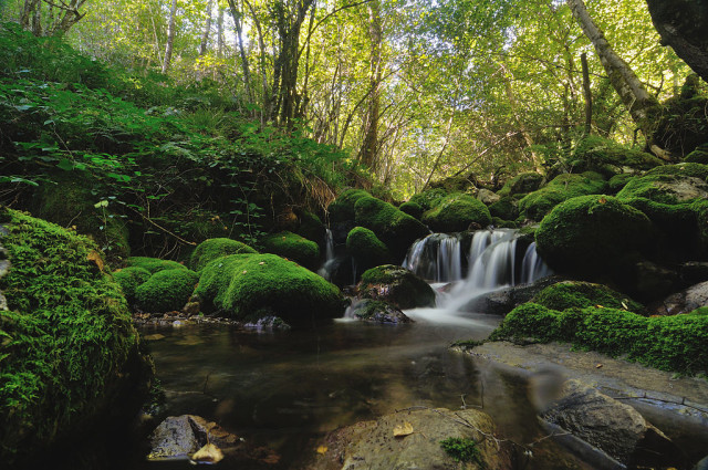 Spain Asturias Muniellos ecotourism reserve Javier Perez Wikipedia