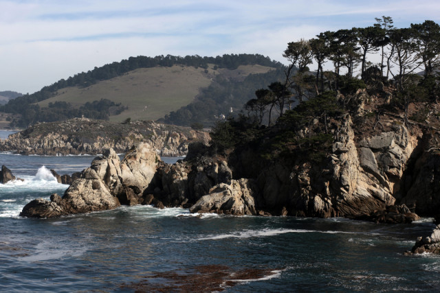 L2F Jan 16 pic USA CA Hitchcock Point Lobos Dan Schreiber shutterstock_120051442