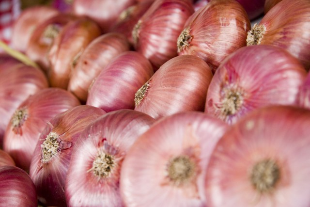 Spain Basque Country Zalla violet purple onions