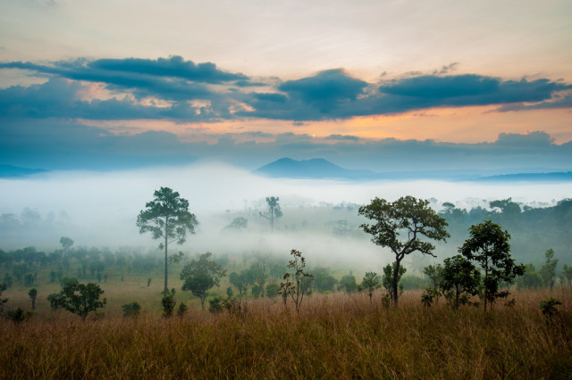 South Africa Kruger National Park savannah meadow sunrise Joney shutterstock