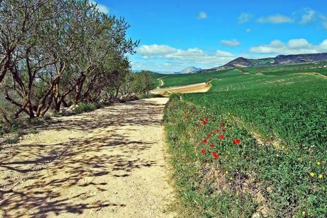 Spain Andalusia Camino Mozarabe trail