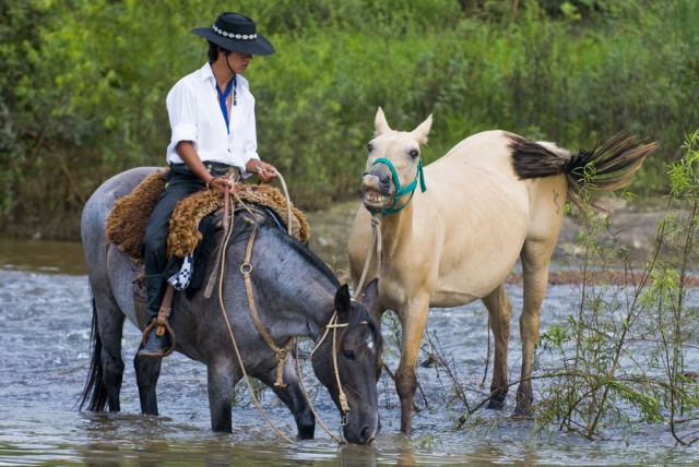 Uruguay ranches gaucho with horses Kobby Dagan shutterstock_28097362