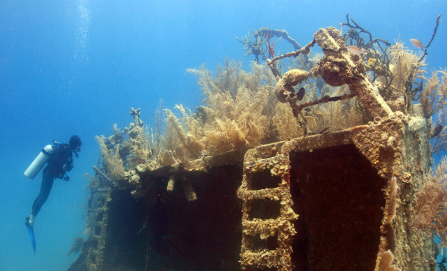 Honduras Roatan Prince Albert wrech diving John A. Anderson shutterstock_36278611