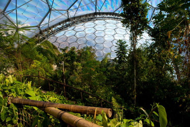 l2f-oct-16-pic-uk-england-cornwall-eden-project-interior-francesco-carucci-shutterstock_32421265