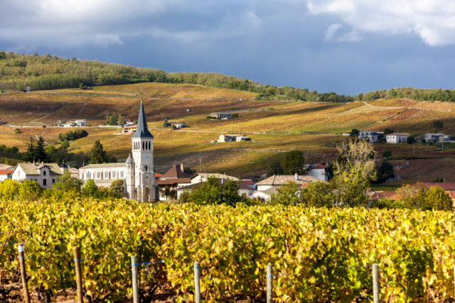 l2f-france-beaujolais-chenas-vineyards-shutterstock_273469094