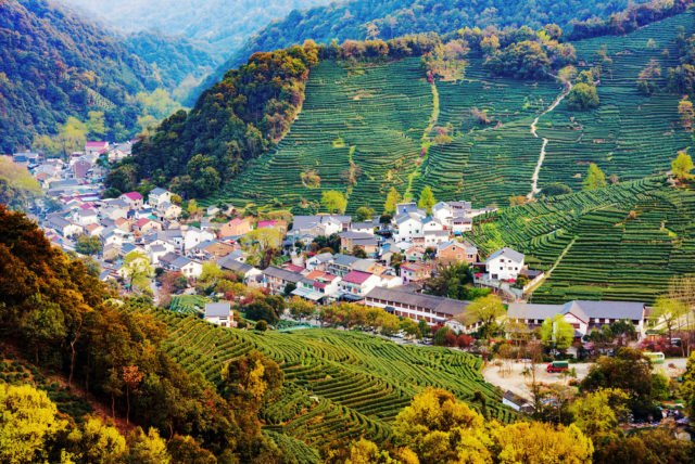 l2f-dec-16-pic-china-longjing-overview-shutterstock_420348304