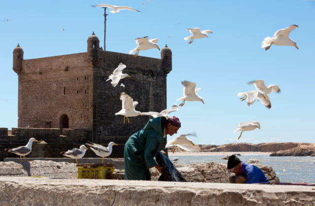 l2f-dec-16-pic-morocco-essaouira-fishermen-citadel-posztos-shutterstock_148847120