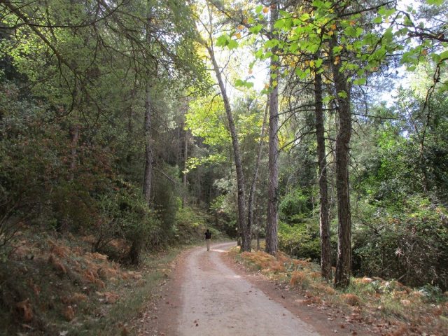 L2F Jan 18 pic Spain Andalusia Jaén Cazorla forest hiking path