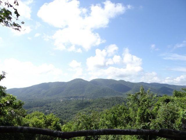 L2F Feb 18 pic Cuba Las Terrazas Sierra del Rosario lookout