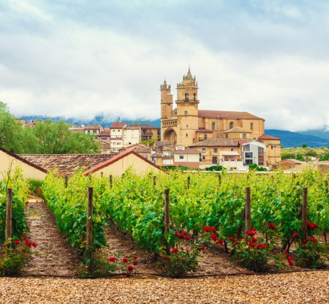 La Rioja Wine Country Vineyards and church