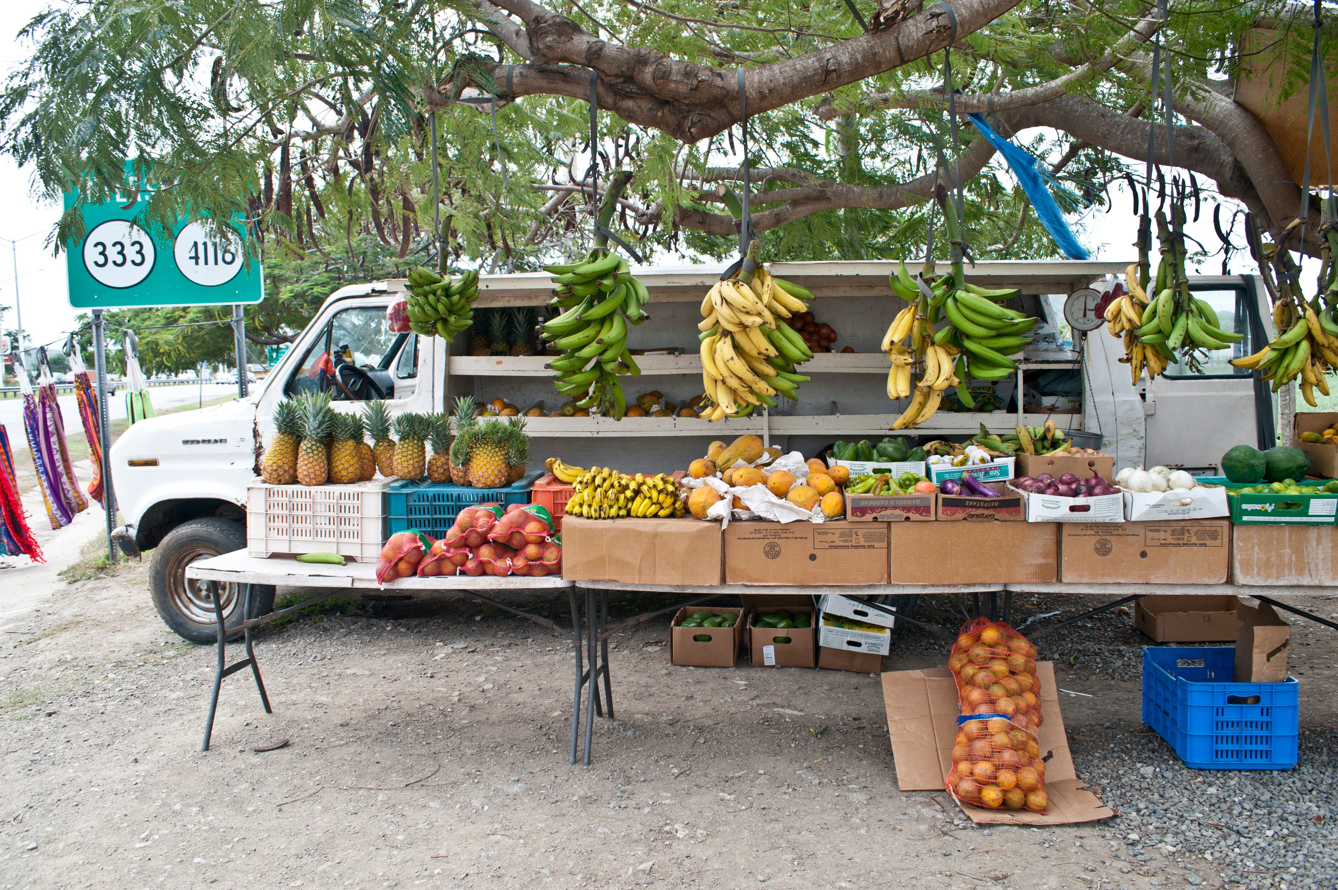 L2F May 19 pic Puerto Rico dining travel book fruit truck