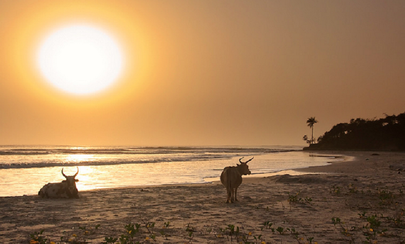 L2F Jul 19 pic Senegal Casamance Cap Skirring beach flickr