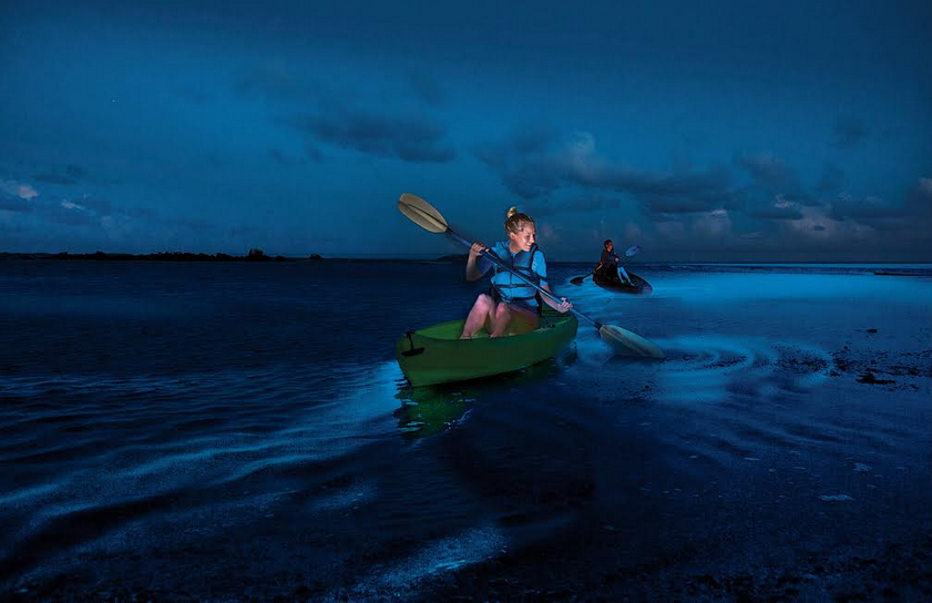 bioluminescent tour vieques