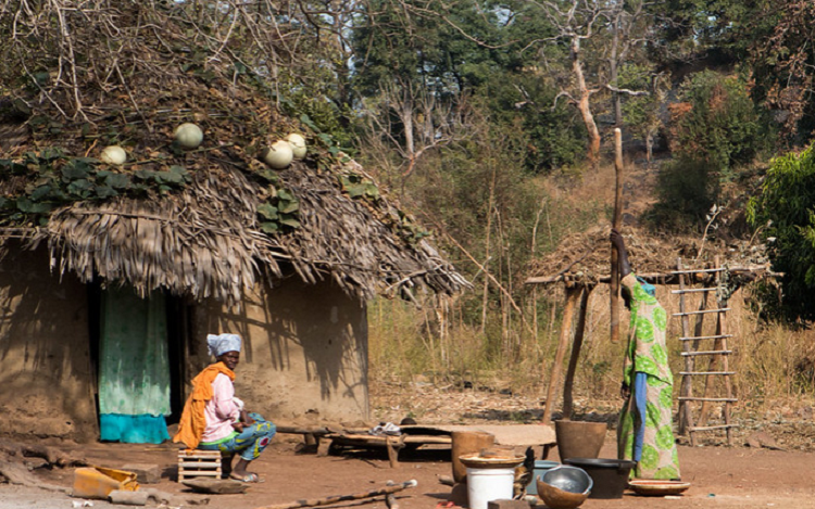 L2F-Feb-20-pic-Senegal-Bassari-village-women-Flickr-Carsten-ten-Brink.png?profile=RESIZE_930x