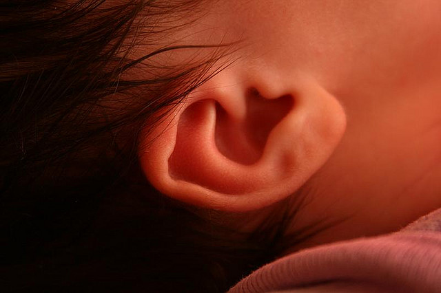 Baby ear