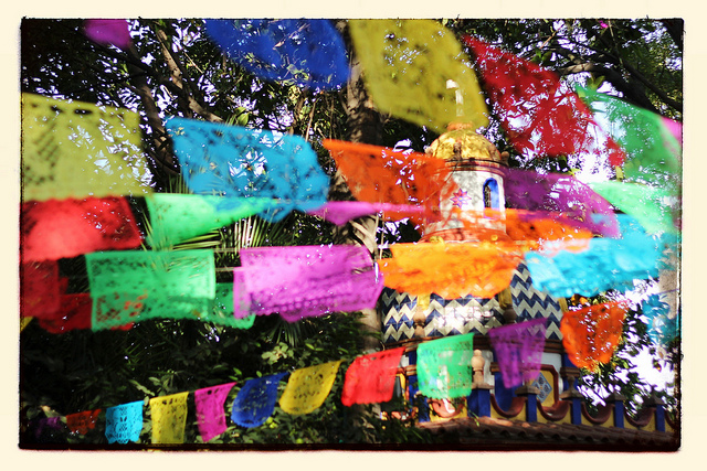 Jardín en Coyoacán