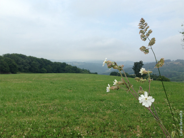 Camino de Santiago Way of St. James Spain - Laura Revuelta