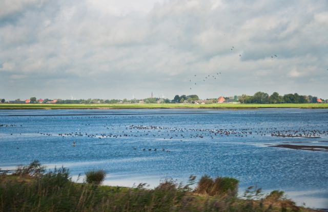 Frisia Holanda Dani Keral Un Viaje Creativo