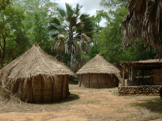 Niokolo-Koba-en-Senegal-640x477.jpg?profile=RESIZE_710x