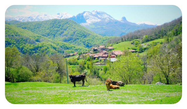 Valles de Cantabria