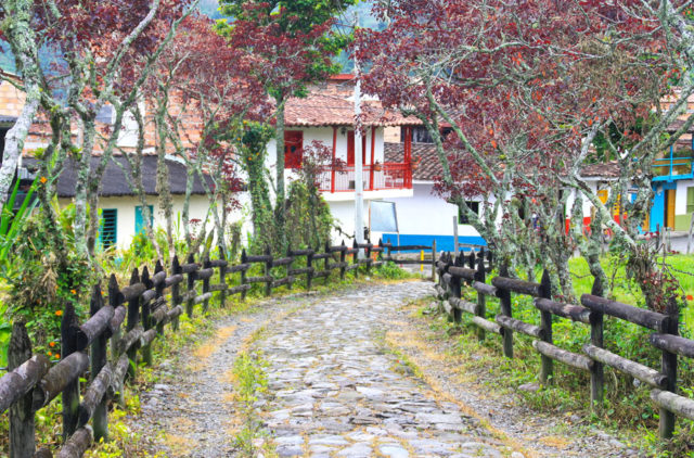 jardin-colombia