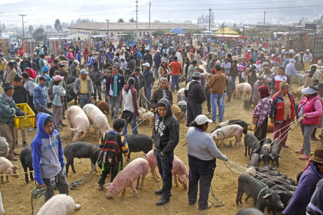 mercado de otavalo